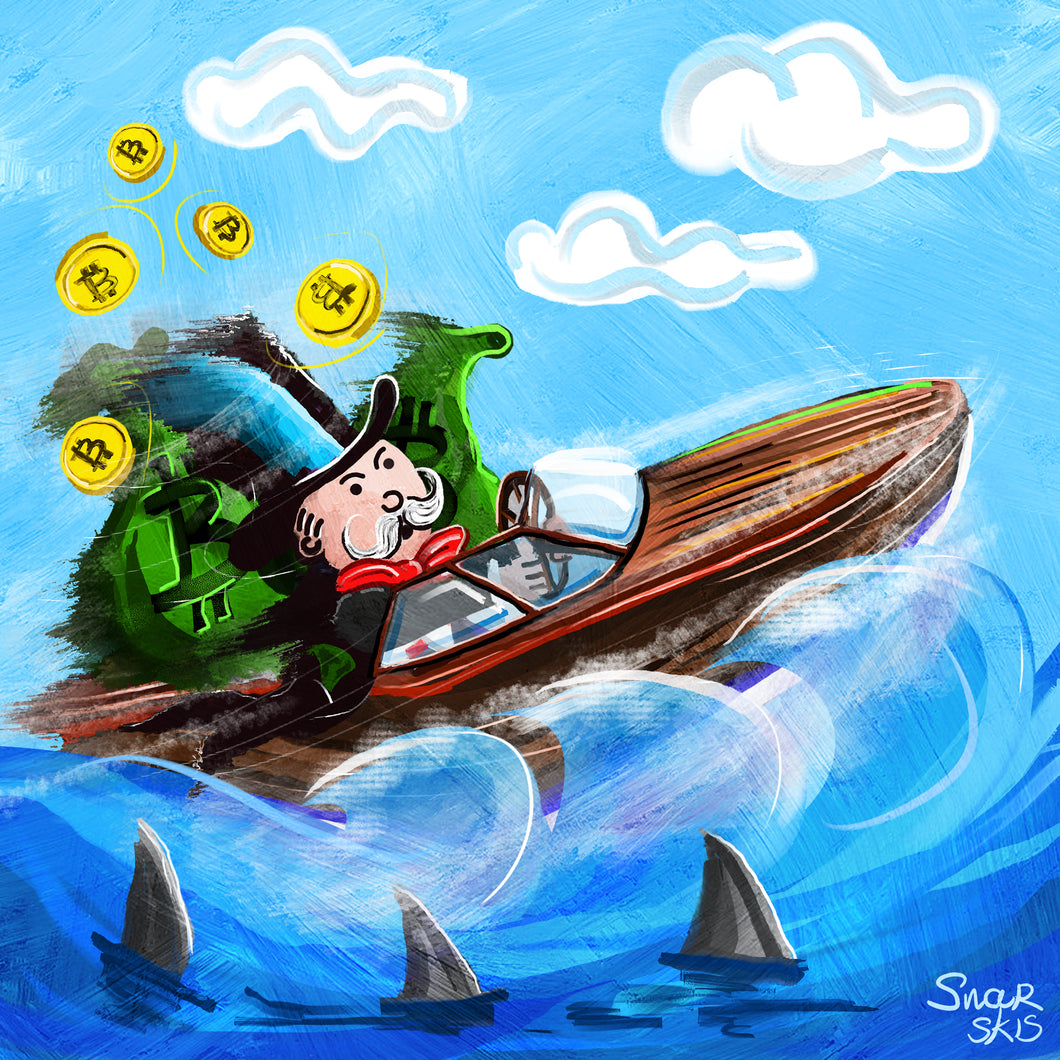 Cruising with the Sharks